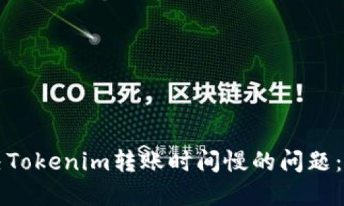 如何解决Tokenim转账时间慢的问题:实用指南