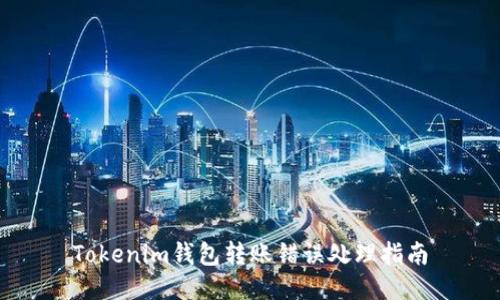 Tokenim钱包转账错误处理指南