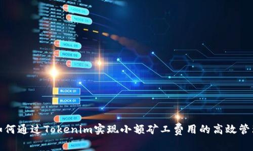 如何通过Tokenim实现小额矿工费用的高效管理