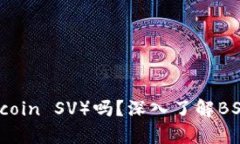 TokenIm支持BSV（Bitcoin SV）吗？深入了解BSV的兼容性
