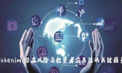 Tokenim：潜在风险与投资者应关注的关键因素