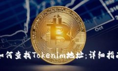 如何查找Tokenim地址：详细指南