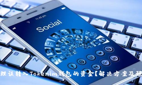 如何处理误转入Tokenim钱包的资金?解决方案及预防措施