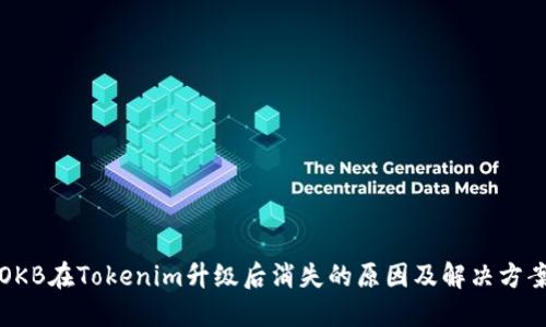 OKB在Tokenim升级后消失的原因及解决方案