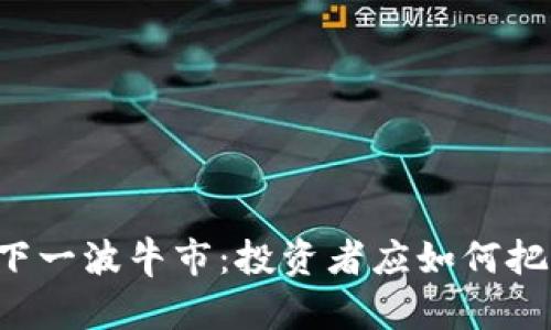 虚拟币下一波牛市:投资者应如何把握机遇?