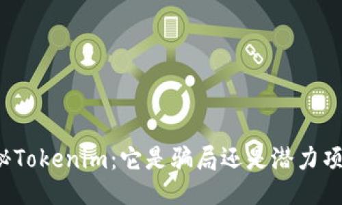 揭秘Tokenim:它是骗局还是潜力项目?