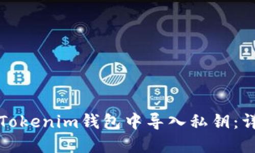 如何在Tokenim钱包中导入私钥:详细指南