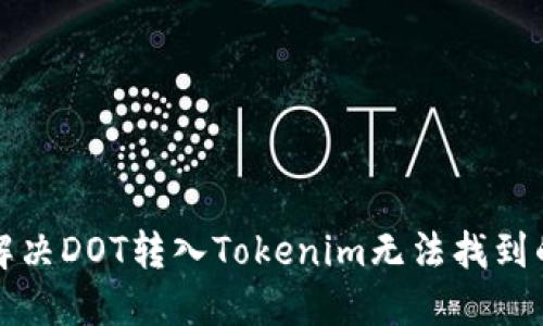 如何解决DOT转入Tokenim无法找到的问题