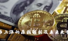 虚拟币上涨的原因解析及未来走势预测