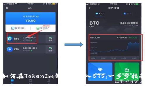 如何在TokenIm钱包中导入BTS：一步步指南