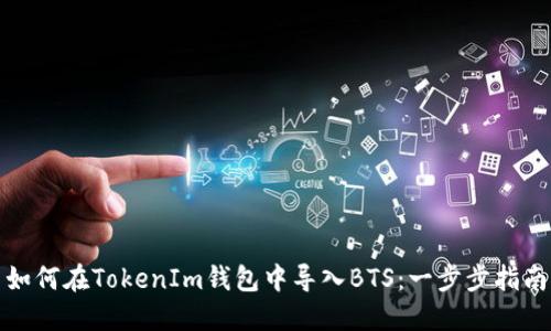 如何在TokenIm钱包中导入BTS：一步步指南