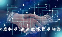 探索METC虚拟币：未来数字货币的潜力与机遇
