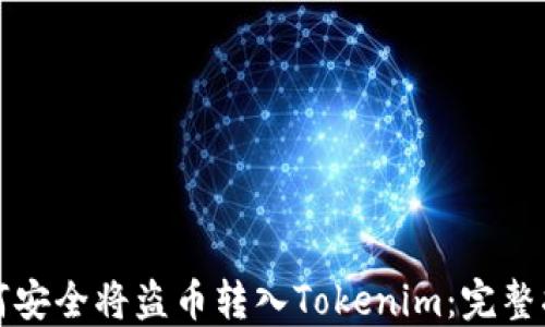 
如何安全将盗币转入Tokenim：完整指南