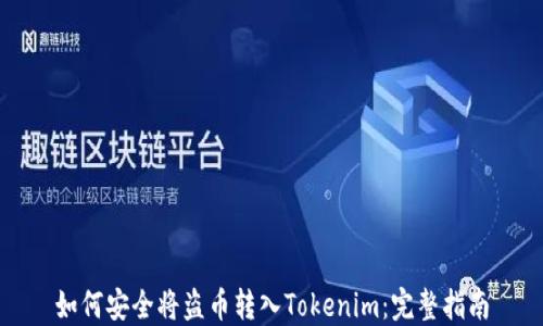 
如何安全将盗币转入Tokenim：完整指南