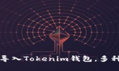 如何快速导入Tokenim钱包，多种方式详解