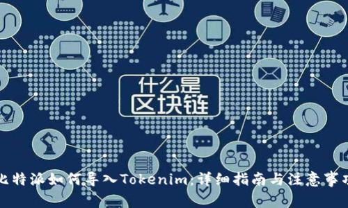 比特派如何导入Tokenim：详细指南与注意事项