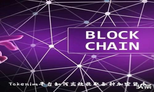 Tokenim平台如何高效收取各种加密货币