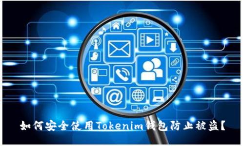 如何安全使用Tokenim钱包防止被盗?