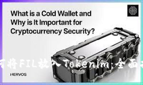 如何将FIL放入Tokenim:全面指南