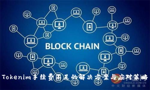 Tokenim手续费不足的解决方案与应对策略