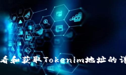 如何查看和获取Tokenim地址的详细指南