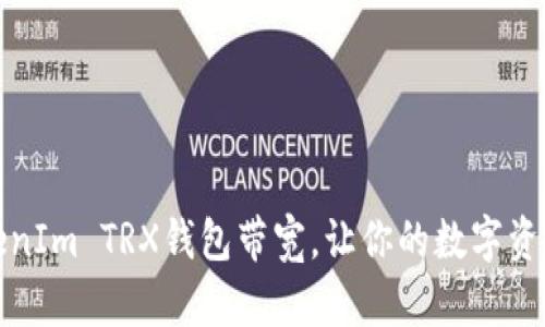 如何提升TokenIm TRX钱包带宽，让你的数字资产管理更高效