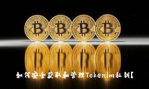 如何安全获取和管理Tokenim私钥？