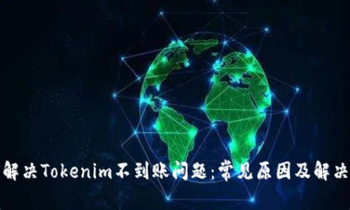 如何解决Tokenim不到账问题:常见原因及解决方案