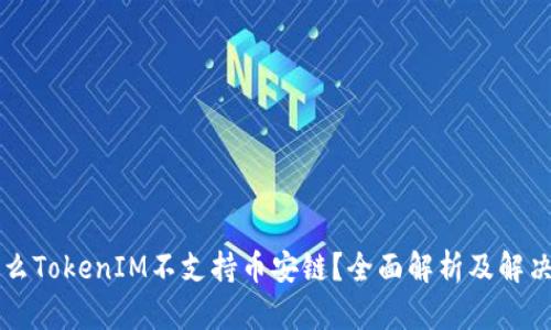 为什么TokenIM不支持币安链？全面解析及解决方案