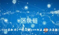 什么是BHM虚拟币？一文了解BHM的未来潜力与投资