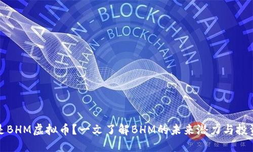 什么是BHM虚拟币？一文了解BHM的未来潜力与投资价值