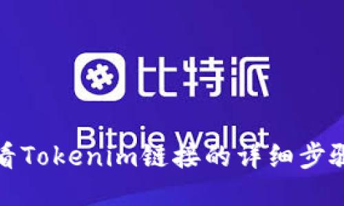 如何查看Tokenim链接的详细步骤及技巧
