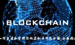 如何查看和管理你的虚拟币钱包余额：全面指南