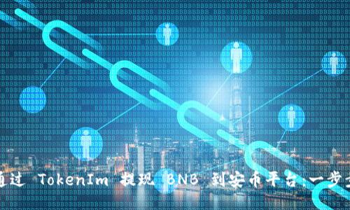 如何通过 TokenIm 提现 BNB 到安币平台：一步步指南