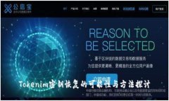 Tokenim密钥恢复的可能性与方法探讨