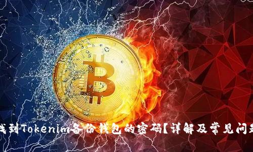 如何找到Tokenim备份钱包的密码?详解及常见问题解答