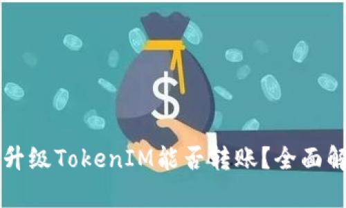 不升级TokenIM能否转账?全面解析
