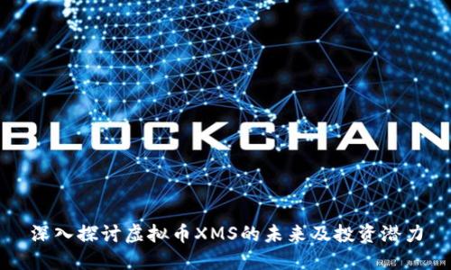 深入探讨虚拟币XMS的未来及投资潜力