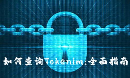 如何查询Tokenim：全面指南