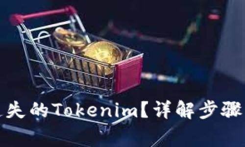 如何找回遗失的Tokenim?详解步骤与注意事项