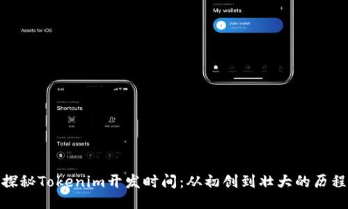探秘Tokenim开发时间:从初创到壮大的历程
