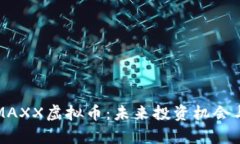 全面解读MAXX虚拟币：未来投资机会与风险分析