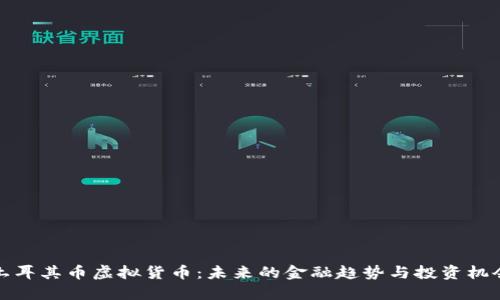 土耳其币虚拟货币:未来的金融趋势与投资机会