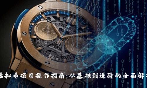 虚拟币项目操作指南：从基础到进阶的全面解析