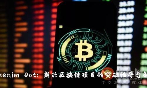 Tokenim Dot: 新兴区块链项目的突破性平台解析