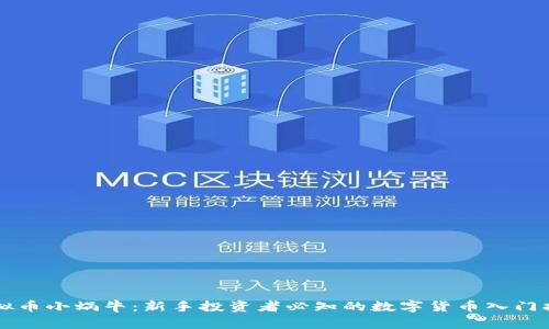 虚拟币小蜗牛：新手投资者必知的数字货币入门指南