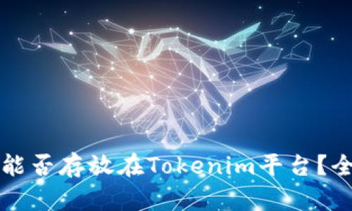 比特币能否存放在Tokenim平台？全面解析