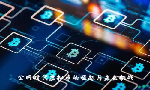 公网时代虚拟币的崛起与未来挑战