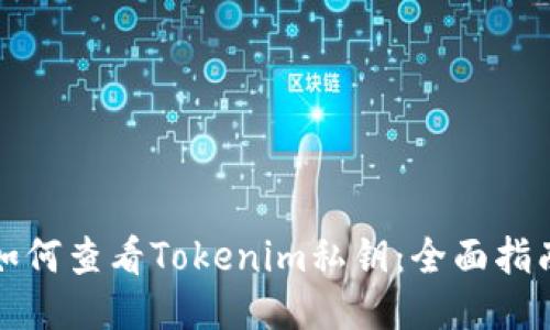如何查看Tokenim私钥：全面指南