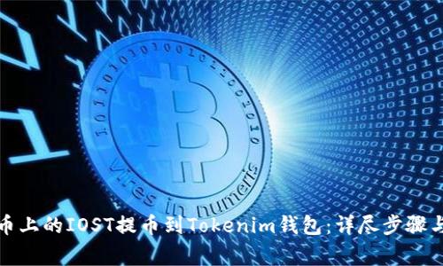 如何将火币上的IOST提币到Tokenim钱包：详尽步骤与注意事项